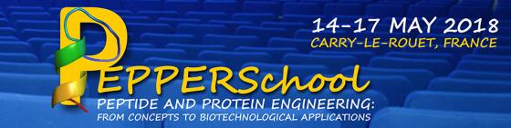 PEPPERSchool | Pepetide and Protein Engineering: From concepts to biotechnological applications