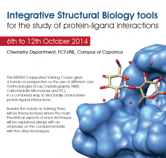 Course on Integrative Structural Biology tools for the study of protein-ligand interactions