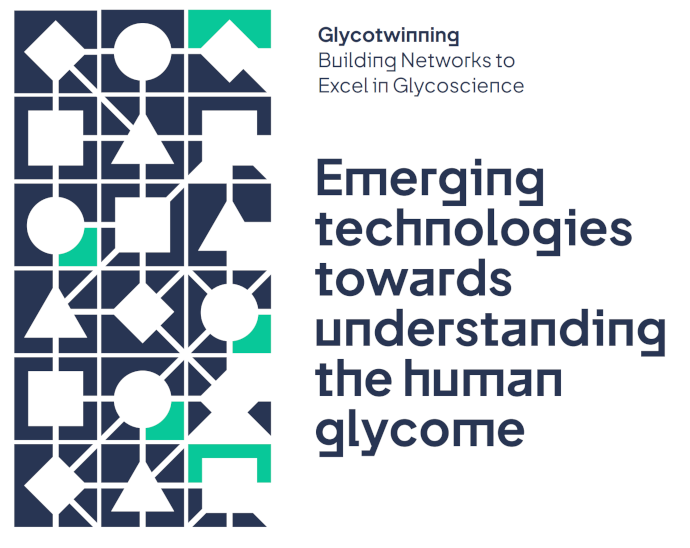 glycotwinning 2024 summer school