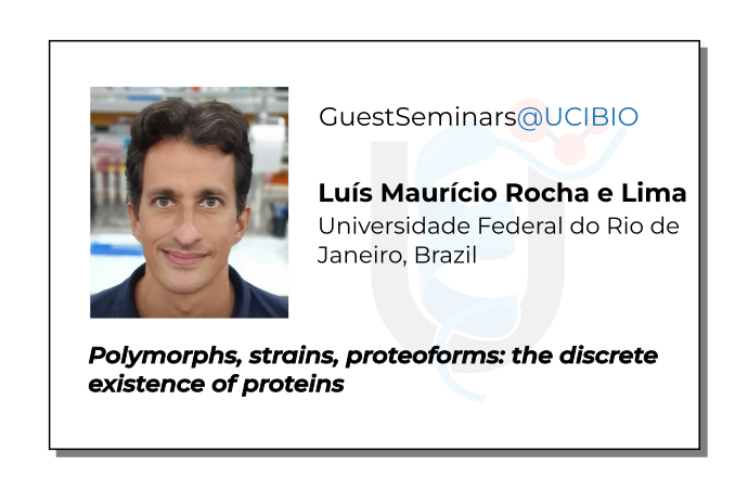 maurício roche e lima