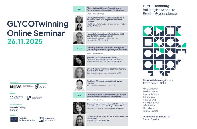 Online Seminar | GLYCOTwinning