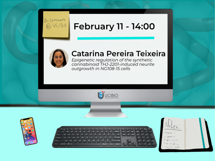 catarina pereira teixeira