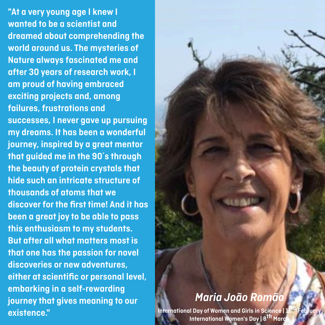 Maria João Romão