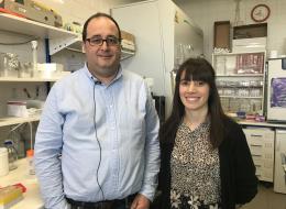 jaime mota e sara pais