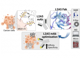 TOC image from the article