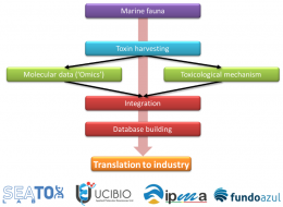 Pedro Costa news image