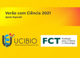 imagem verao com ciencia