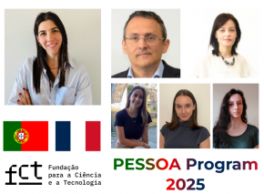 UCIBIO researchers awarded funding for Bilateral Cooperation in Science between Portugal and France