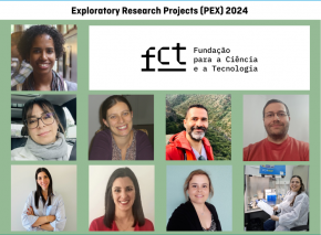 projectos exploratórios