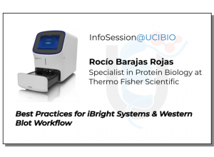 InfoSession@UCIBIO - Best Practices for iBright Systems & Western Blot Workflow