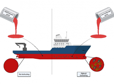imagem paper gaudencio
