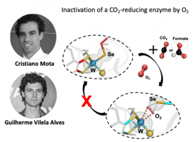 Imagem artigo Chemical Science